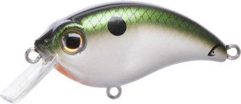 Bill Lewis ATV 1.5 Squarebill Crankbait Tennessee Shad