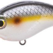 Bill Lewis ATV 1.5 Squarebill Crankbait Sneaky Shad