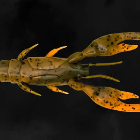 Toad Thumper Bad Craw Bad Craw