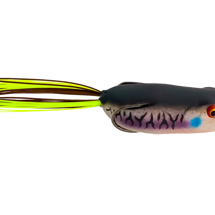 Toad Thumper Swamper Bad Gill
