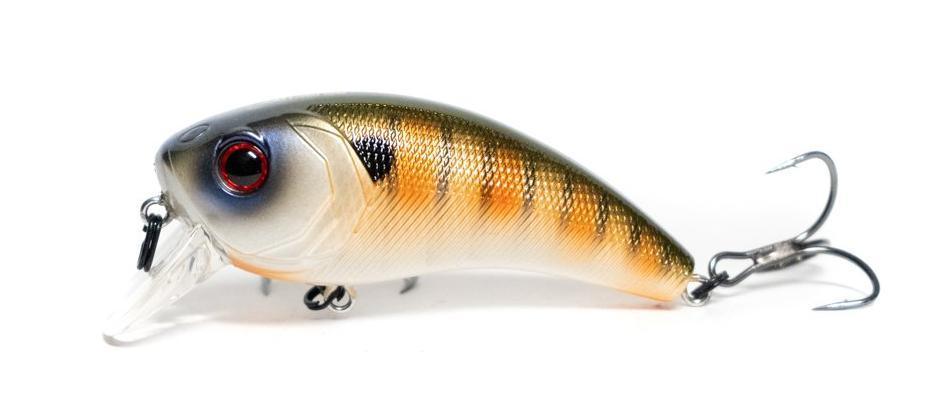 6th Sense Movement 80x