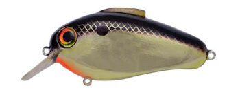 Bill Lewis Echo 1.75 Squarebill Crankbait