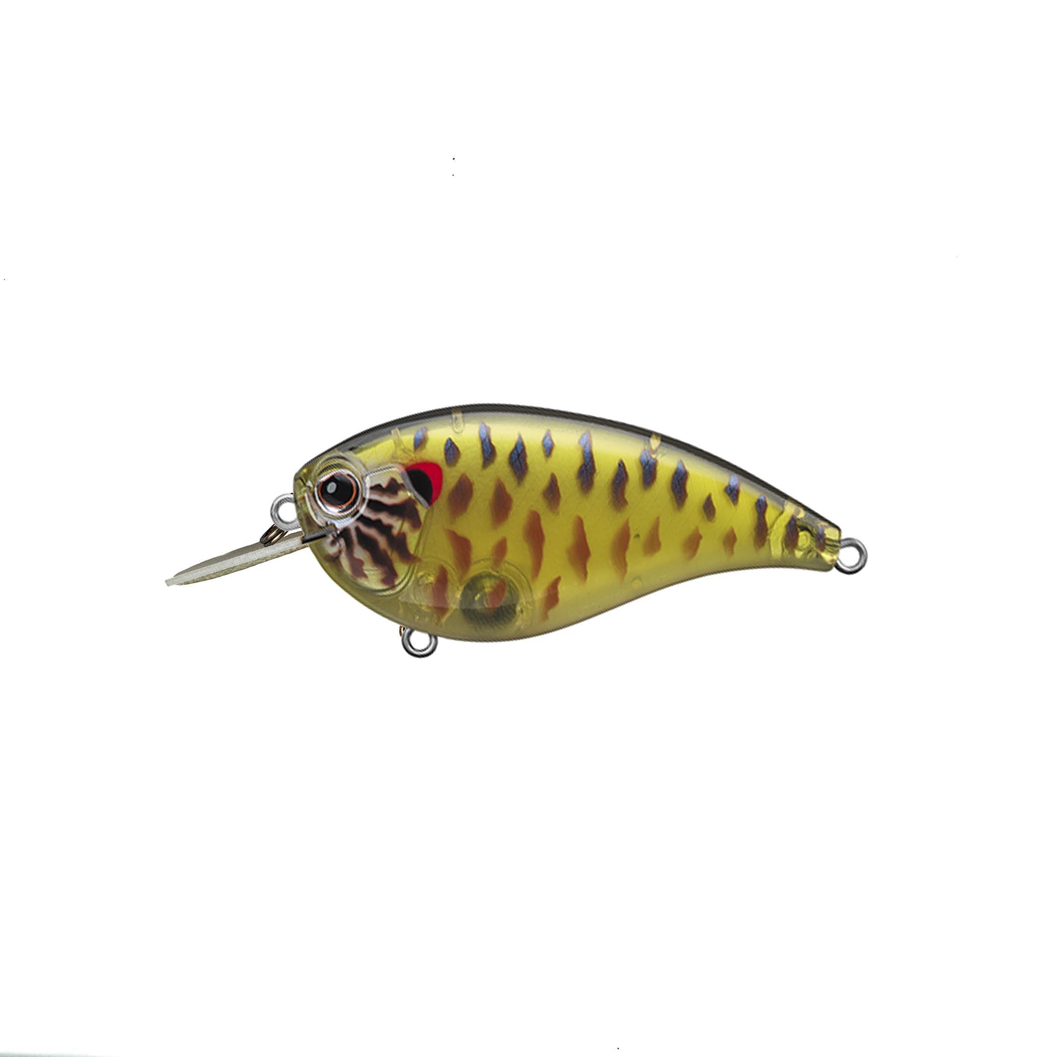 Evergreen Flat Force Skeleton Pumpkinseed