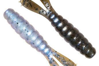 Z Man Baby Goat 6pk The Deal