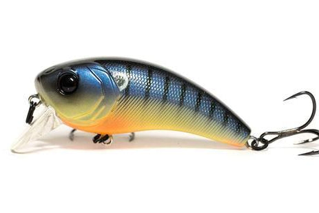 6th Sense Movement 80x