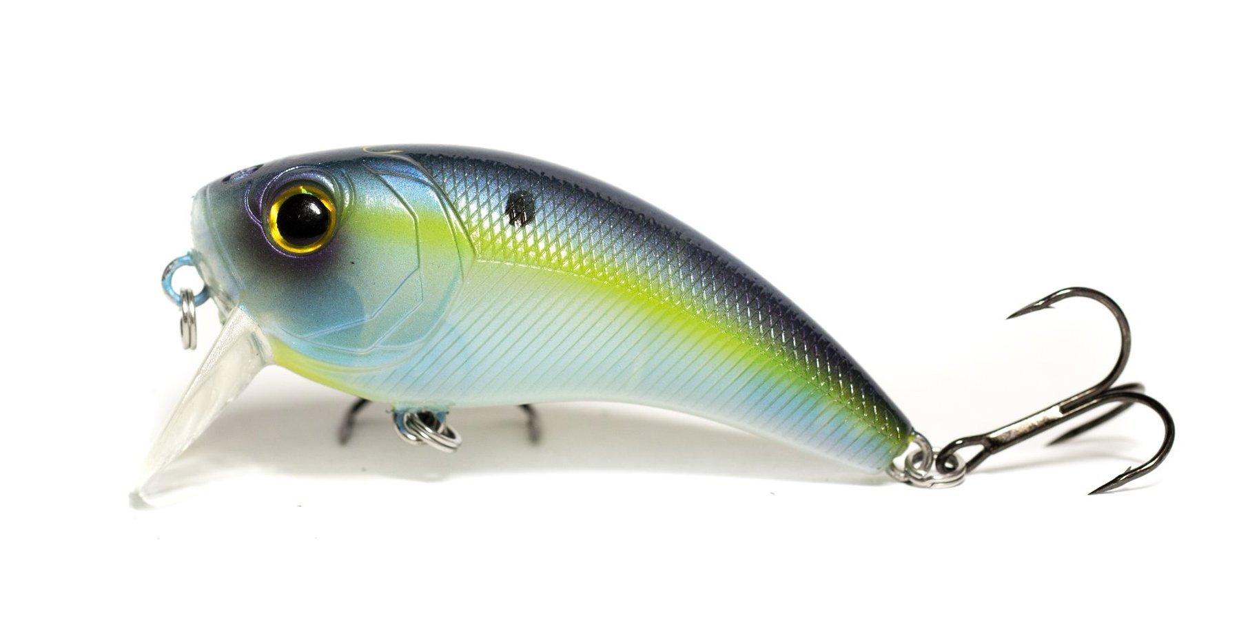 6th Sense Movement 80 Wake