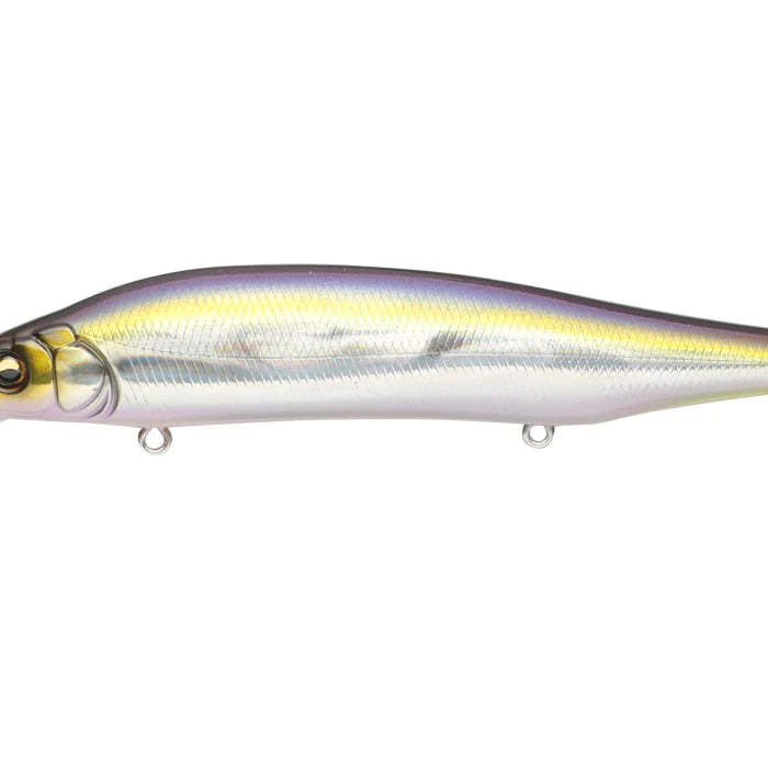 Megabass ITO Shiner GG IL Tennessee Shad