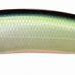 Megabass Vision 110 + 1 Table Rock SP