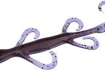 Zoom Lizards 6" Purple Pumpkin 432