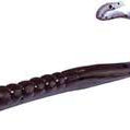 Zoom Mag II Worms 20pk Purple Pumpkin
