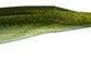 Zoom Super Fluke Smallmouth Magic437**