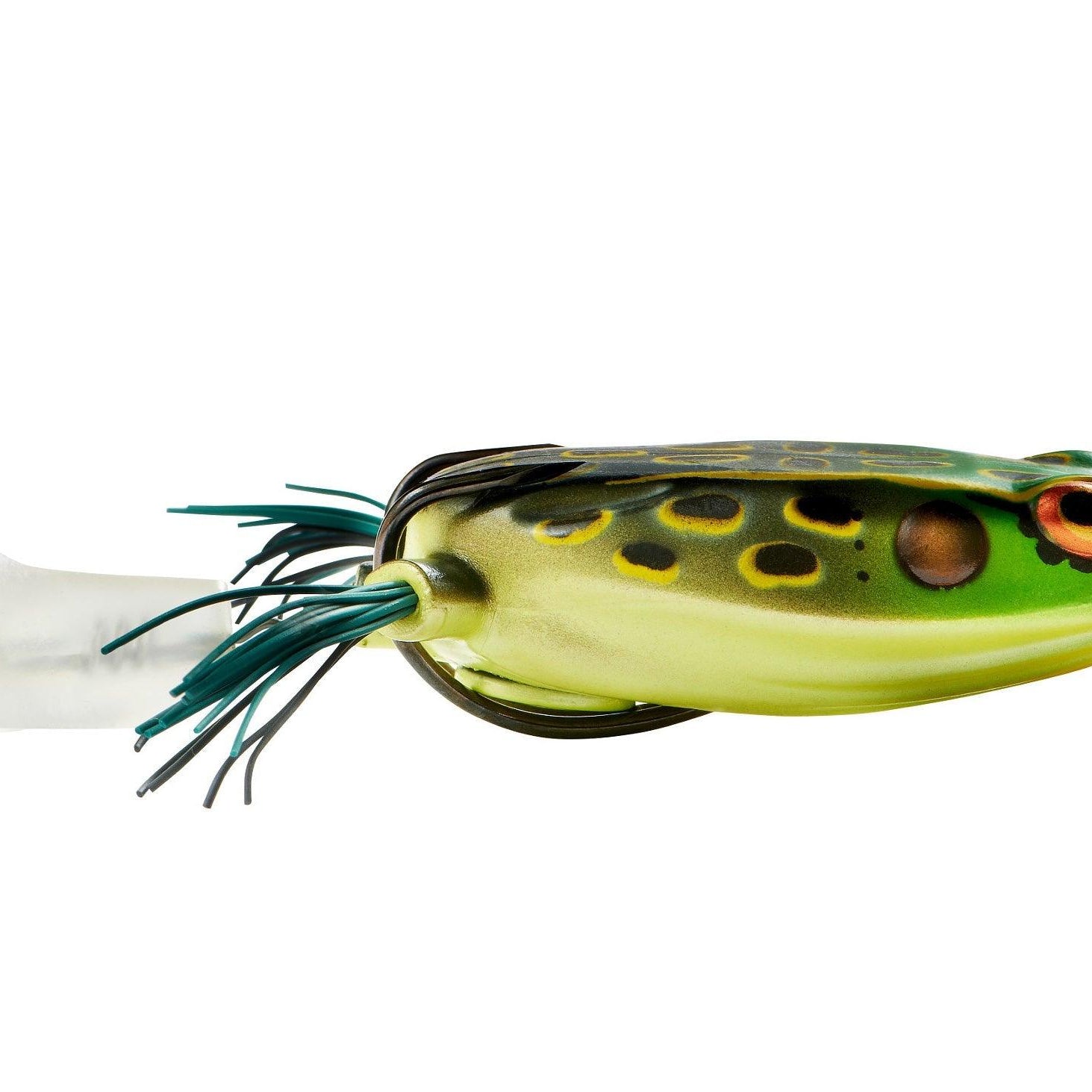 Booyah Toadrunner Jr. Bull Frog