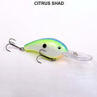 Strike King 5XD Citrus Shad