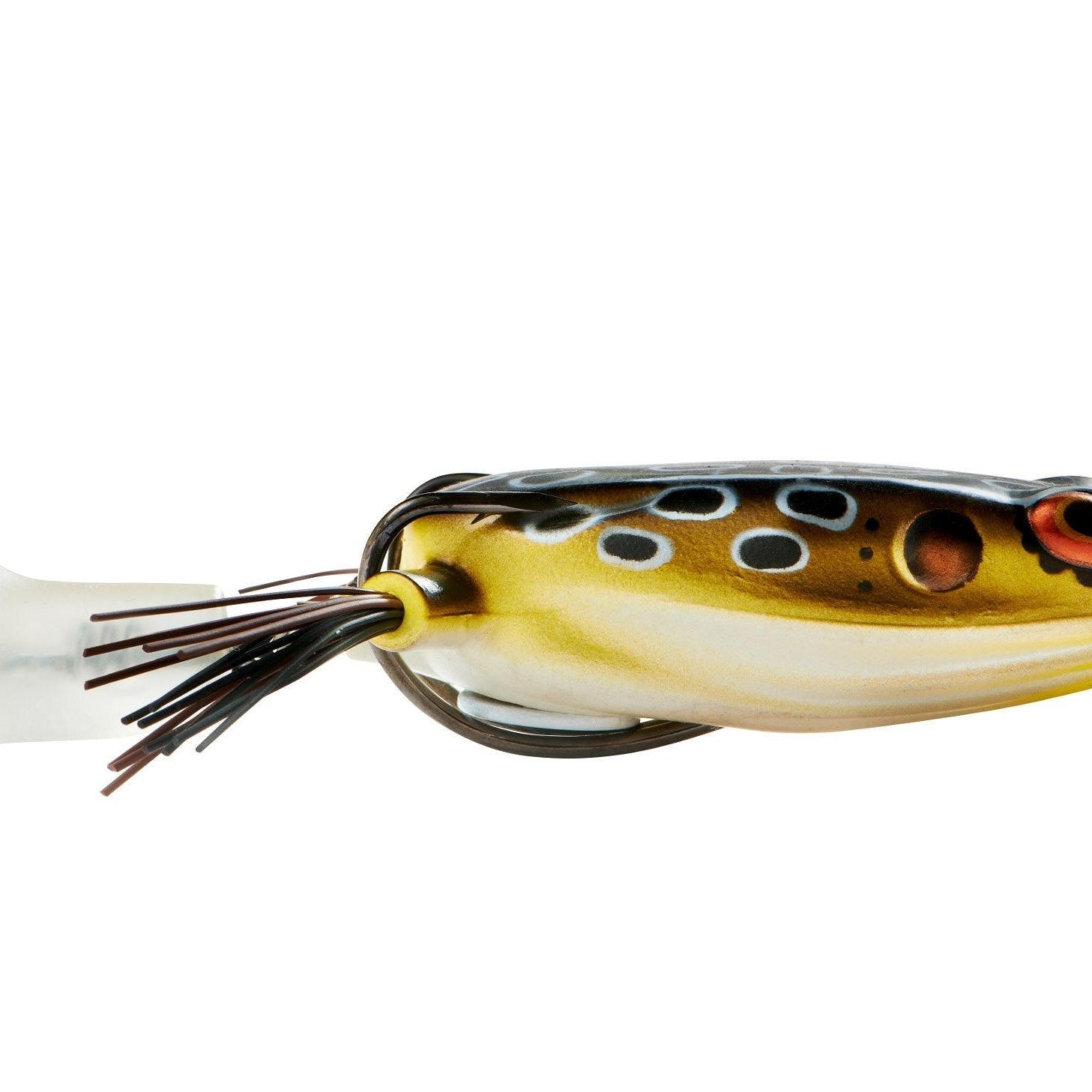 Booyah Toadrunner Jr. Cricket Frog