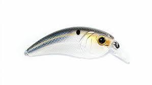 6th Sense Movement L7 Threadfin Shad*