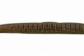 Roboworm Ned Worm 3" Aaron's Green Pumpkin