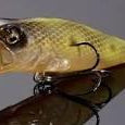 Megabass Pop Max Moth-La OB*