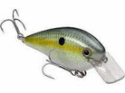 Strike King KVD 1.5 Hard Knock Squarebill Crankbait Chartreuse Sexy Shad