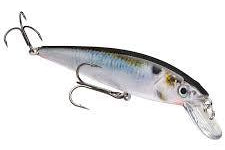 Strike King KVD Jerkbait 200 Natural Shad