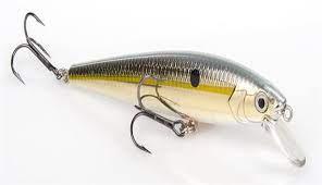 Strike King KVD Jerkbait 200