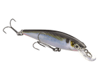 Strike King KVD Jerkbait 100