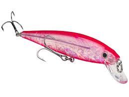 Strike King KVD Jerkbait 200