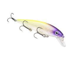 Strike King KVD Jerkbait 200