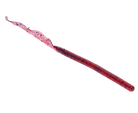 Strike King Zeus Worm Plum 9.5