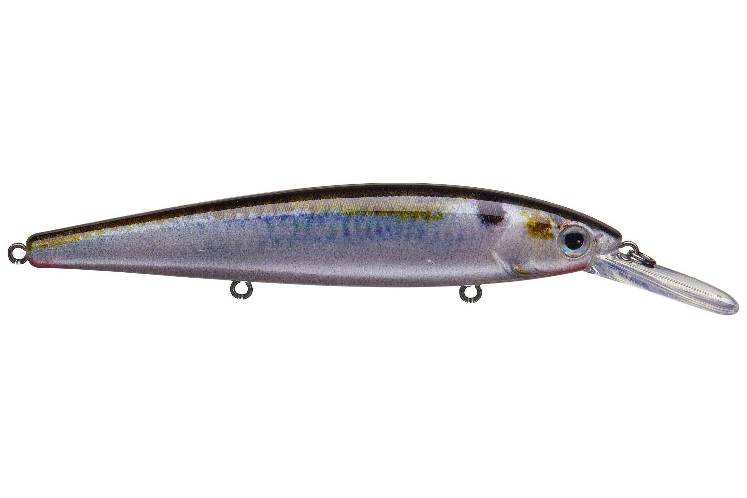 Strike King KVD 300 Deep Jerkbait