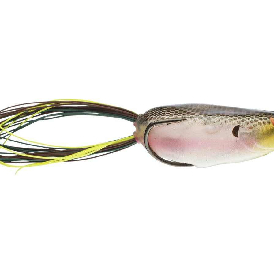 Spro Dean Rojas Bronzeye Shad 65 (D) spooky shad
