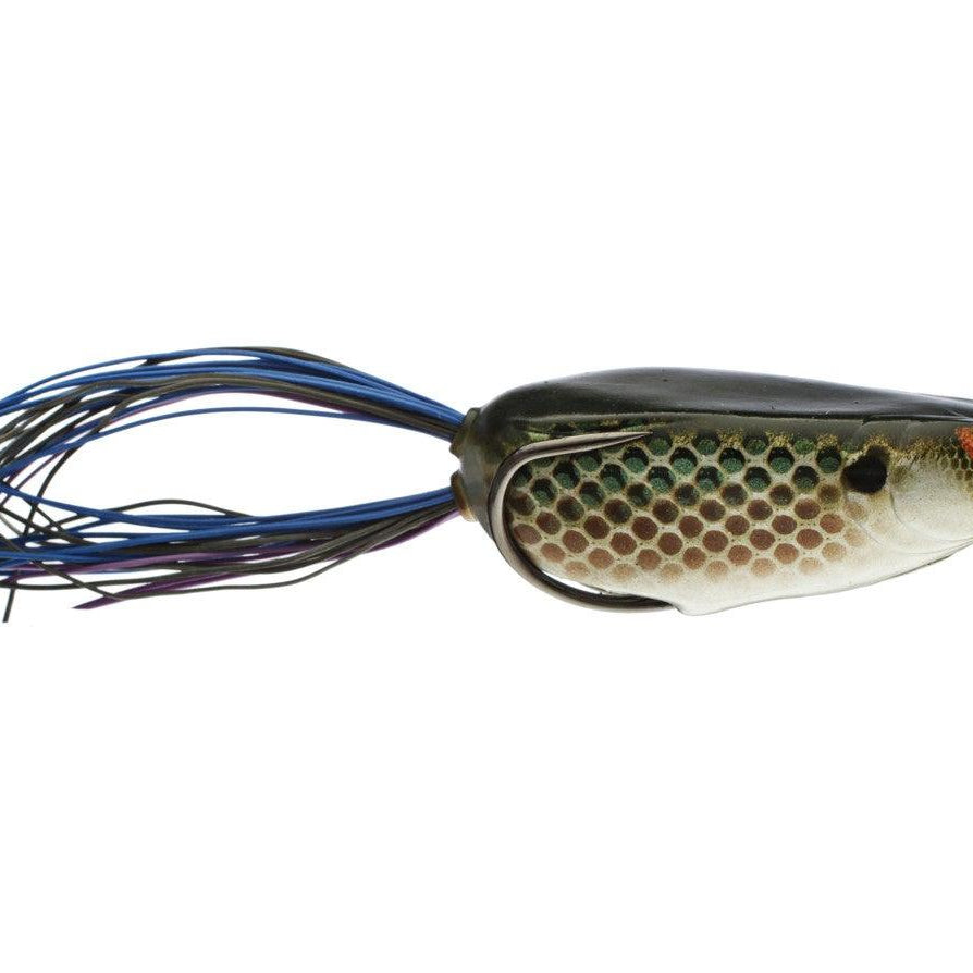 Spro Dean Rojas Bronzeye Shad 65 (D) killer gill