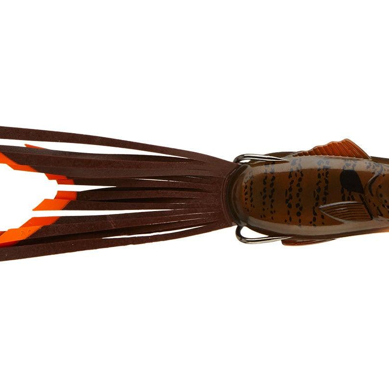 Strike King KVD Popping Perch Green Pumpkin Gill