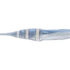 Lake Fork Trophy Lures Swim'n Slug Albino Shad **