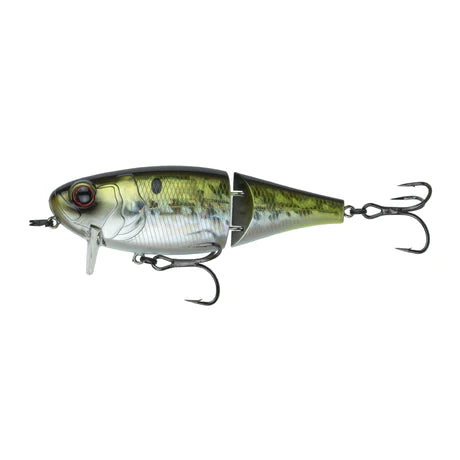 6th Sense Speed Wake 100 American Shad