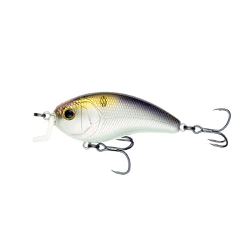 6th Sense Swank 77x 4K Shad