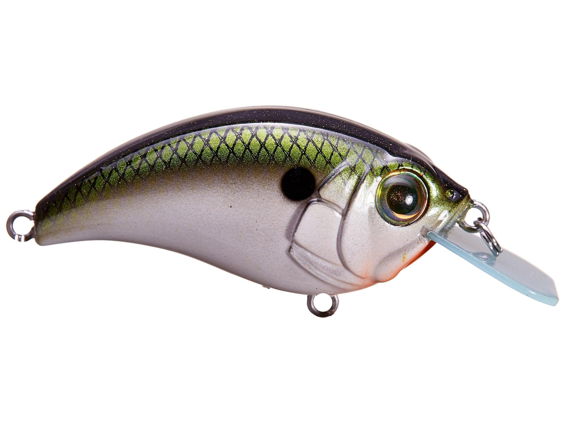 Bill Lewis SB-57 Signature Crankbait Tennessee Shad