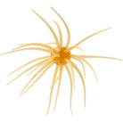 Hideup Coike Creature Bait 17mm Kuririnkintoki