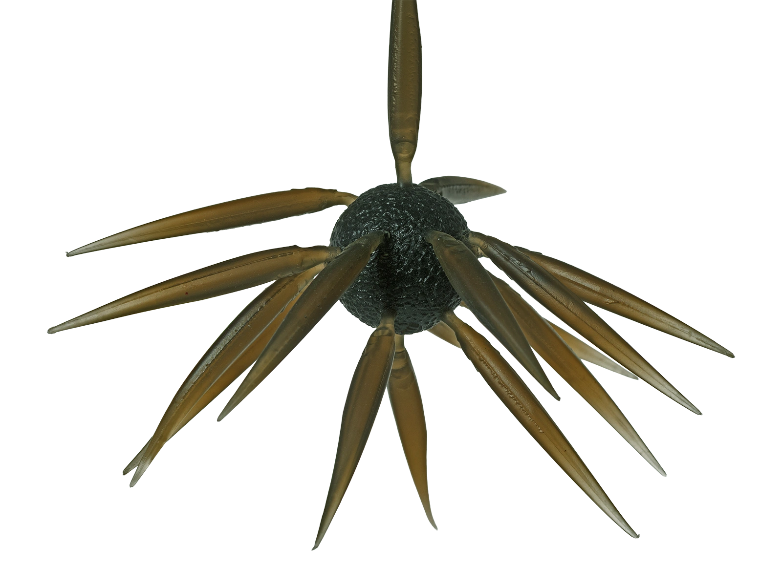 Hideup Coike Fish Elastomer Creature Bait Clear Brown