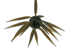 Hideup Coike Fish Elastomer Creature Bait Clear Brown