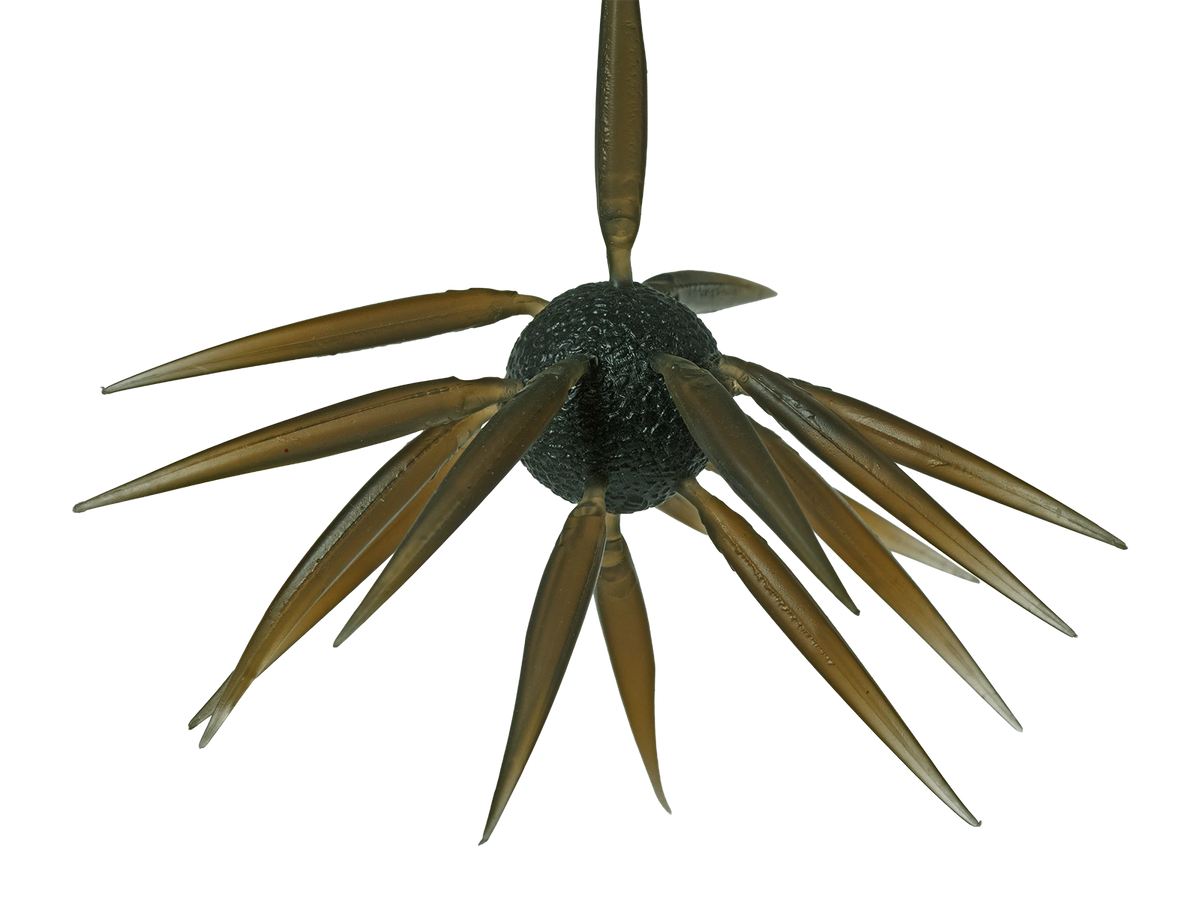 Hideup Coike Fish Elastomer Creature Bait Clear Brown