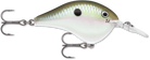 Rapala DT-8 Green Gizzard Shad