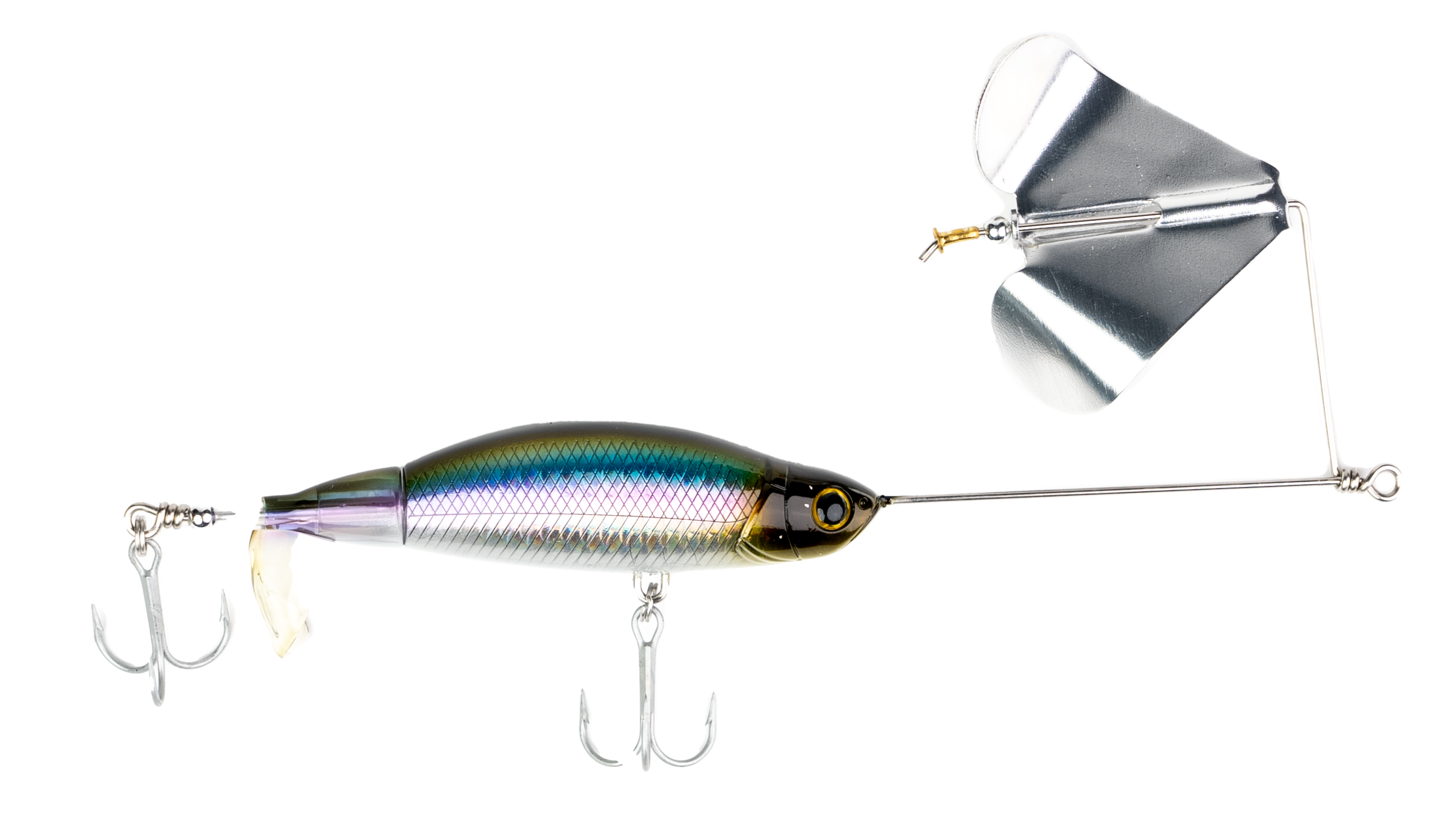 Proper Buzz American Shad