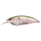 Megabass Big M 4.0 Crankbaits MB Gizzard