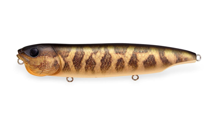 Megabass Dogmax FA Baby Raigyo