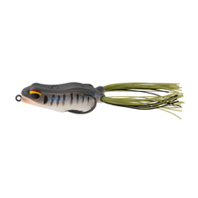 6th Sense Vega Hush Frog Gill Fest