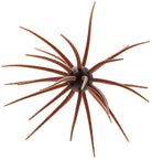 Hideup Coike Creature Bait 17mm Green Pumpkin (US)