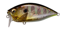 Megabass O.R.C. Over Rev Crank Waking Crankbait GG Gill