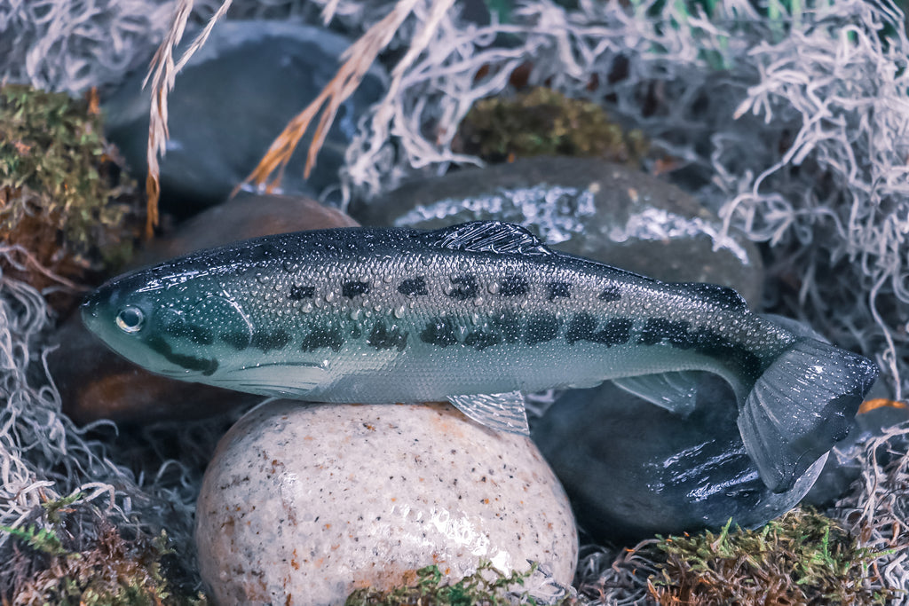 Defiant 210 Swimbait Ghost Black Bass Moderate