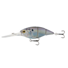 6th Sense The Unit 24 Live Gizzard Shad
