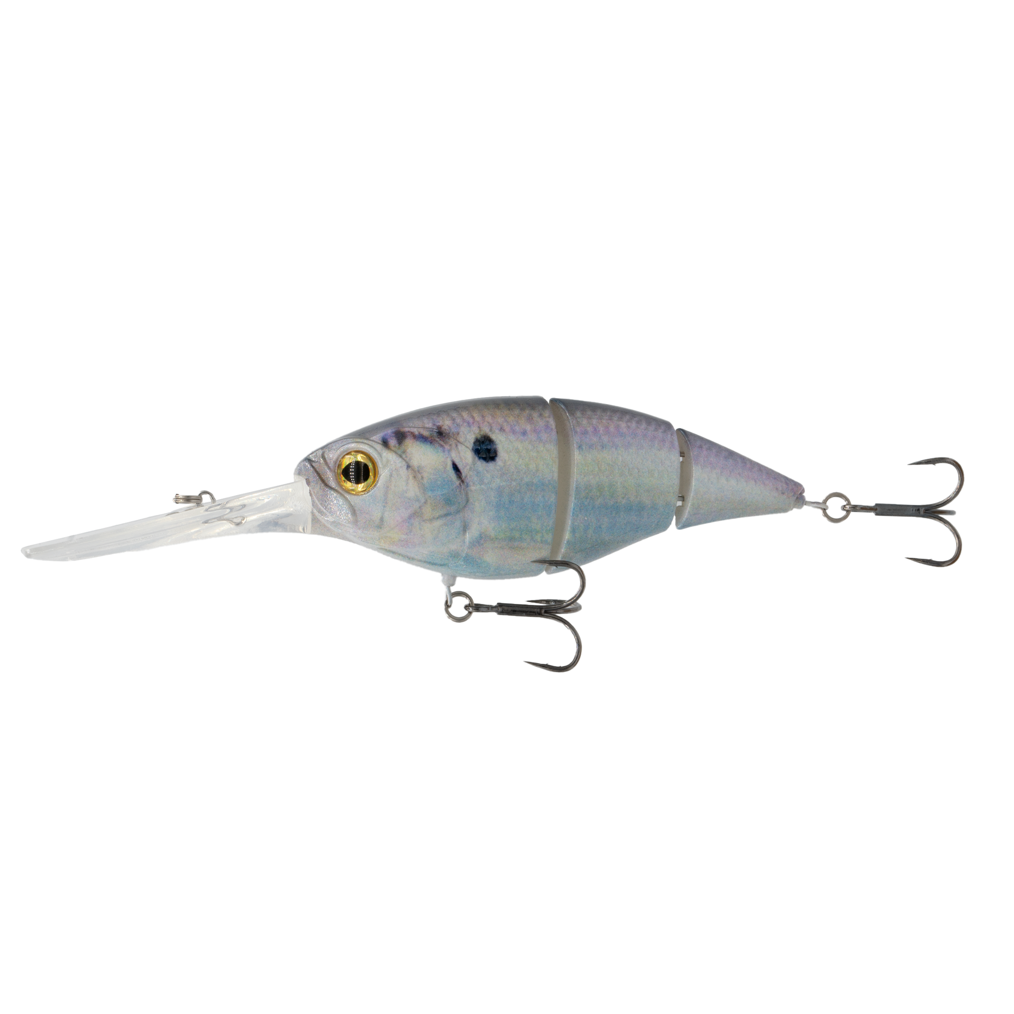 6th Sense The Unit 24 Live Gizzard Shad